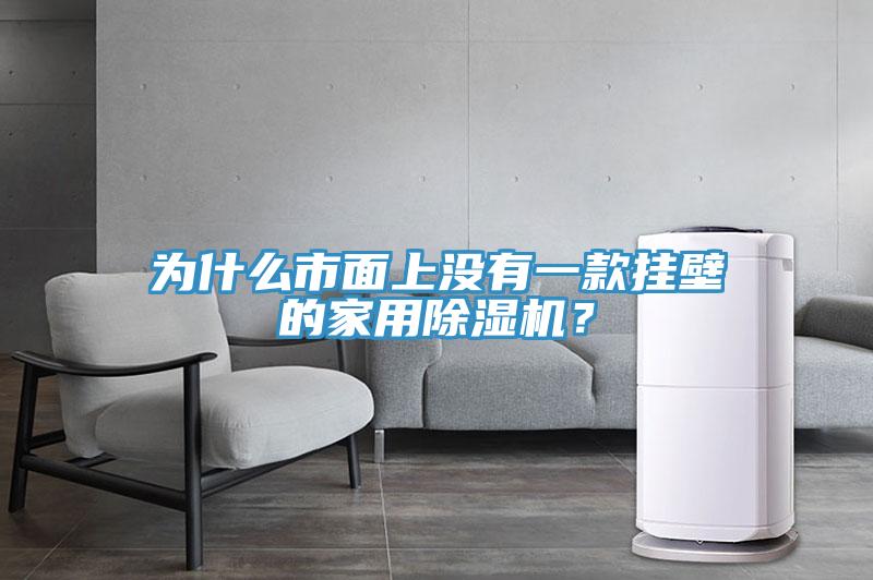 為什么市面上沒有一款掛壁的家用除濕機(jī)？