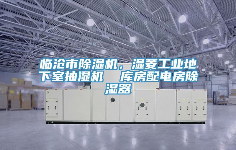 臨滄市除濕機(jī)，濕菱工業(yè)地下室抽濕機(jī)  庫房配電房除濕器