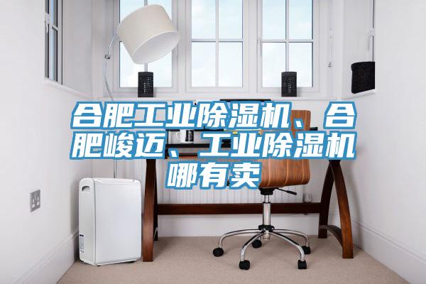 合肥工業(yè)除濕機、合肥峻邁、工業(yè)除濕機哪有賣
