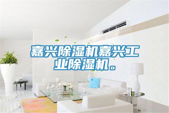 嘉興除濕機(jī)嘉興工業(yè)除濕機(jī)。