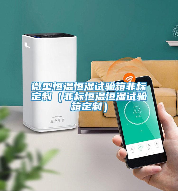 微型恒溫恒濕試驗箱非標(biāo)定制（非標(biāo)恒溫恒濕試驗箱定制）