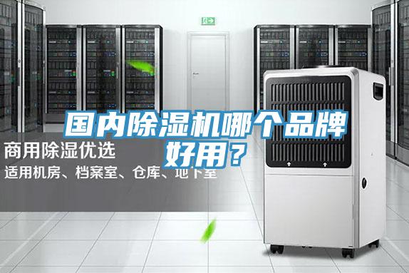 國(guó)內(nèi)除濕機(jī)哪個(gè)品牌好用？