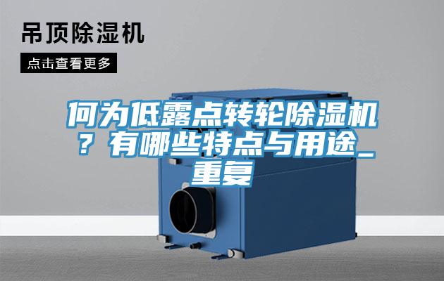 何為低露點轉輪除濕機？有哪些特點與用途_重復