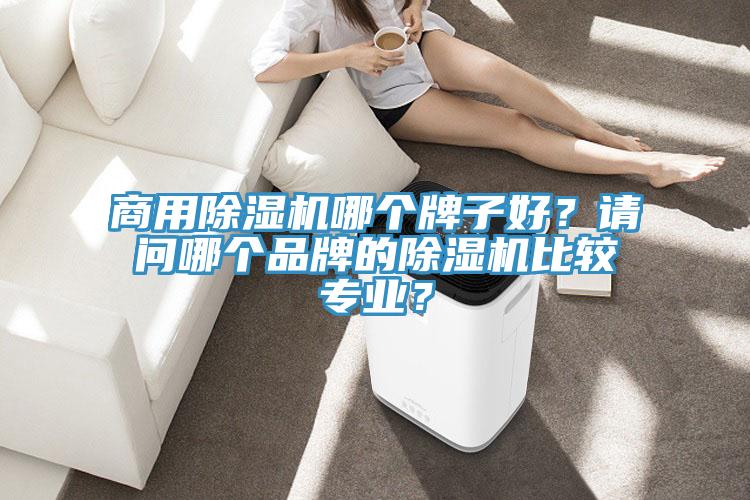 商用除濕機(jī)哪個(gè)牌子好？請(qǐng)問哪個(gè)品牌的除濕機(jī)比較專業(yè)？