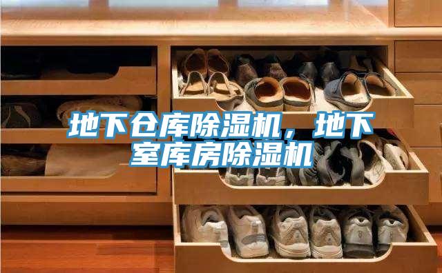 地下倉庫除濕機，地下室?guī)旆砍凉駲C