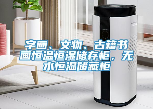 字畫(huà)、文物、古籍書(shū)畫(huà)恒溫恒濕儲(chǔ)存柜，無(wú)水恒濕儲(chǔ)藏柜