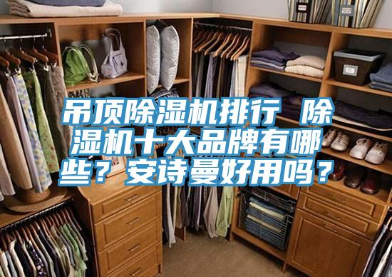 吊頂除濕機(jī)排行 除濕機(jī)十大品牌有哪些？安詩曼好用嗎？
