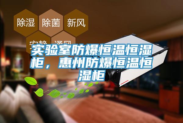實驗室防爆恒溫恒濕柜，惠州防爆恒溫恒濕柜