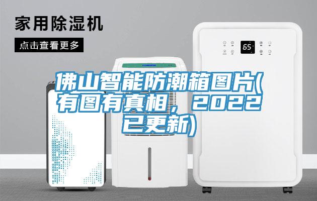 佛山智能防潮箱圖片(有圖有真相，2022已更新)