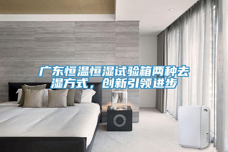 廣東恒溫恒濕試驗(yàn)箱兩種去濕方式，創(chuàng)新引領(lǐng)進(jìn)步