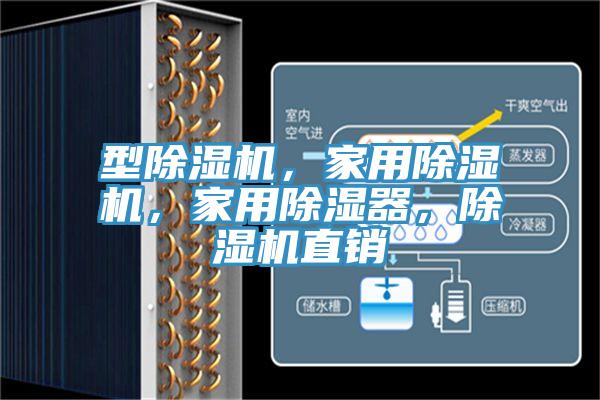 型除濕機(jī)，家用除濕機(jī)，家用除濕器，除濕機(jī)直銷