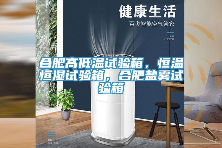 合肥高低溫試驗(yàn)箱，恒溫恒濕試驗(yàn)箱，合肥鹽霧試驗(yàn)箱