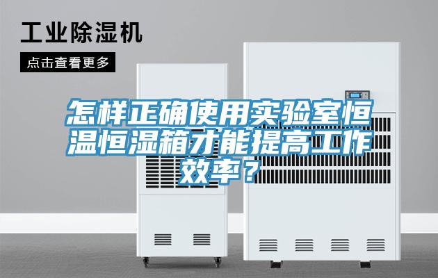 怎樣正確使用實(shí)驗(yàn)室恒溫恒濕箱才能提高工作效率？