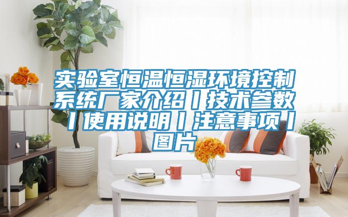 實驗室恒溫恒濕環(huán)境控制系統(tǒng)廠家介紹丨技術參數丨使用說明丨注意事項丨圖片