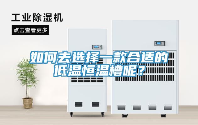 如何去選擇一款合適的低溫恒溫槽呢？