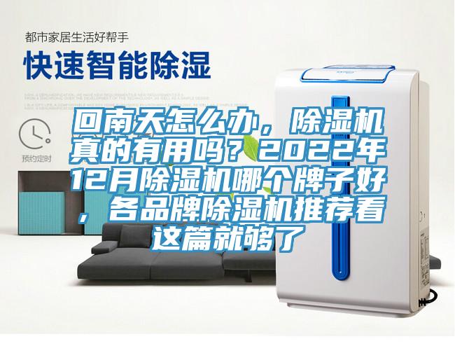 回南天怎么辦，除濕機真的有用嗎？2022年12月除濕機哪個牌子好，各品牌除濕機推薦看這篇就夠了