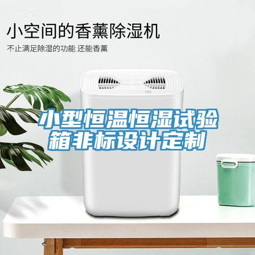 小型恒溫恒濕試驗箱非標(biāo)設(shè)計定制