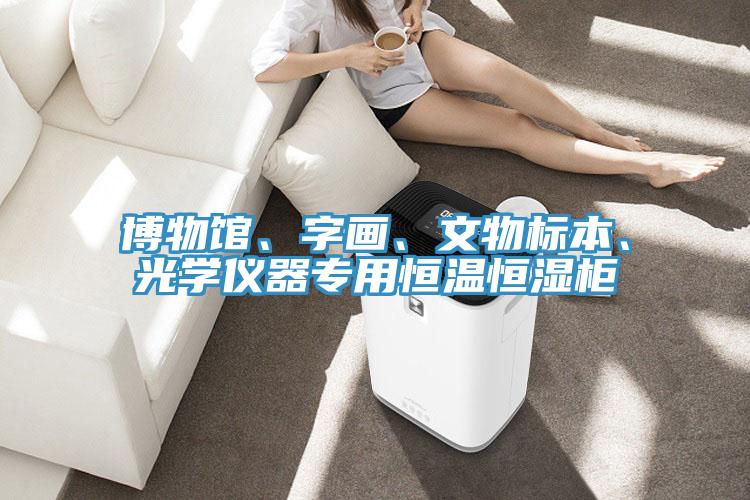 博物館、字畫、文物標本、光學儀器專用恒溫恒濕柜