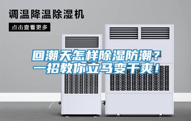 回潮天怎樣除濕防潮？一招教你立馬變干爽！