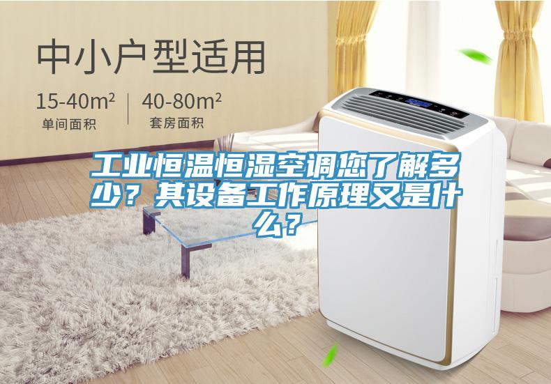 工業(yè)恒溫恒濕空調(diào)您了解多少？其設(shè)備工作原理又是什么？