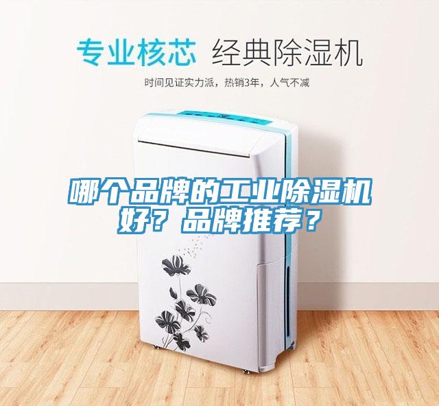 哪個(gè)品牌的工業(yè)除濕機(jī)好？品牌推薦？