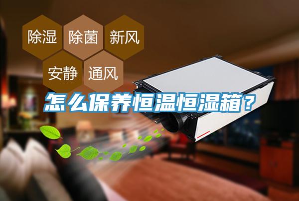 怎么保養(yǎng)恒溫恒濕箱？