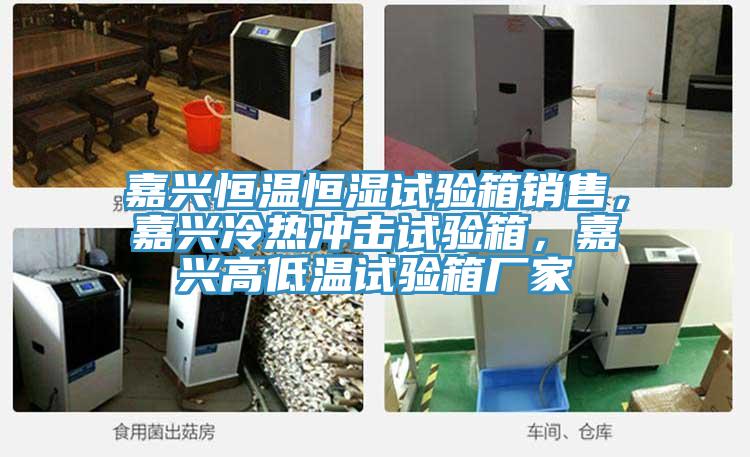 嘉興恒溫恒濕試驗(yàn)箱銷售，嘉興冷熱沖擊試驗(yàn)箱，嘉興高低溫試驗(yàn)箱廠家