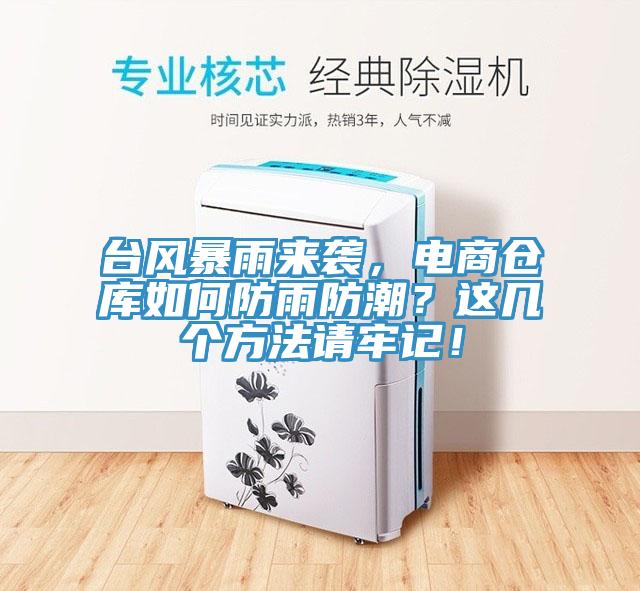 臺(tái)風(fēng)暴雨來(lái)襲，電商倉(cāng)庫(kù)如何防雨防潮？這幾個(gè)方法請(qǐng)牢記！