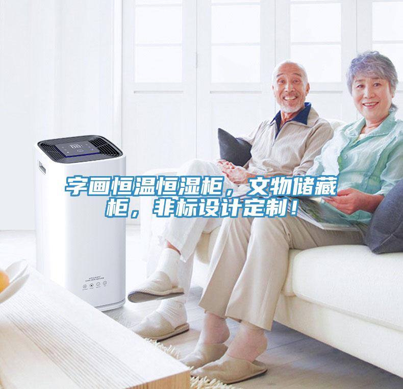 字畫恒溫恒濕柜，文物儲藏柜，非標(biāo)設(shè)計(jì)定制！