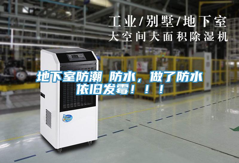 地下室防潮≠防水，做了防水依舊發(fā)霉?。?！