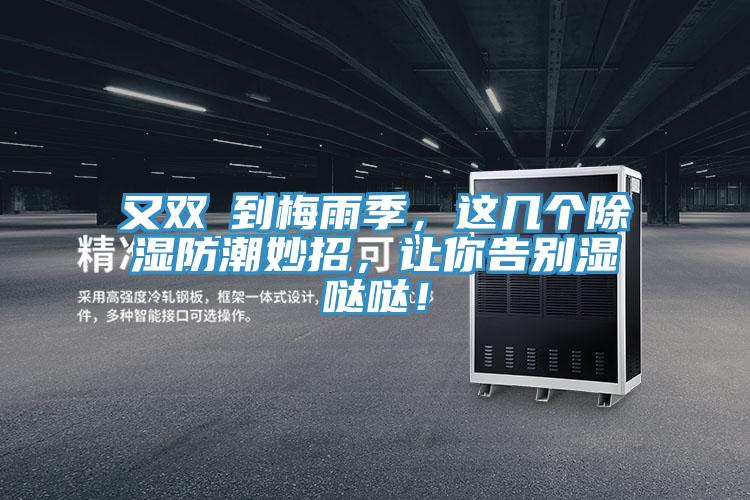 又雙叒到梅雨季，這幾個除濕防潮妙招，讓你告別濕噠噠！