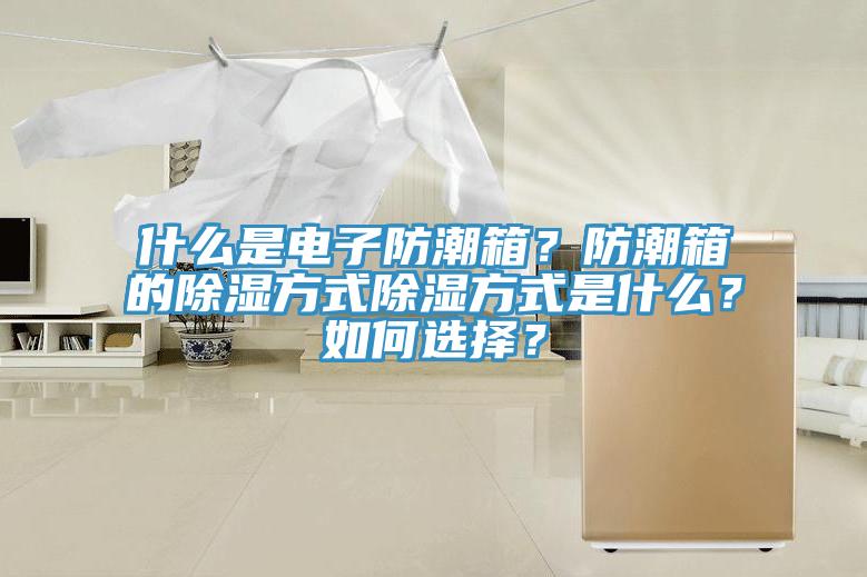 什么是電子防潮箱？防潮箱的除濕方式除濕方式是什么？如何選擇？