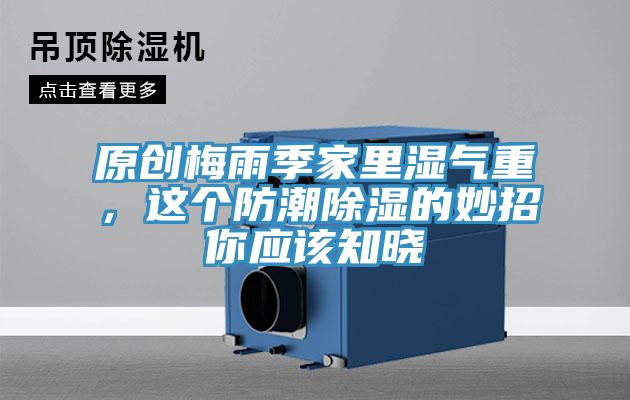 原創(chuàng)梅雨季家里濕氣重，這個防潮除濕的妙招你應(yīng)該知曉