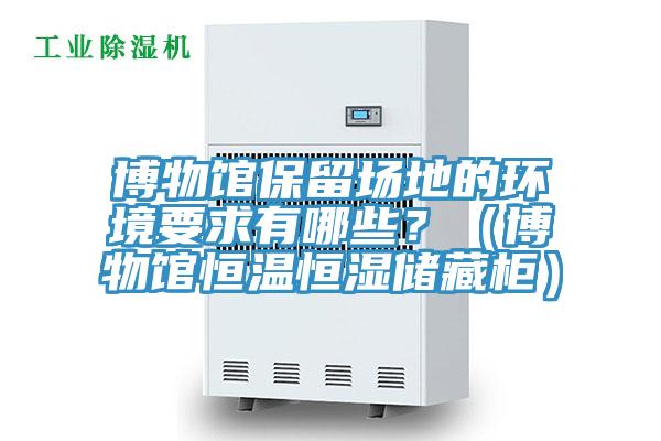 博物館保留場地的環(huán)境要求有哪些？（博物館恒溫恒濕儲藏柜）