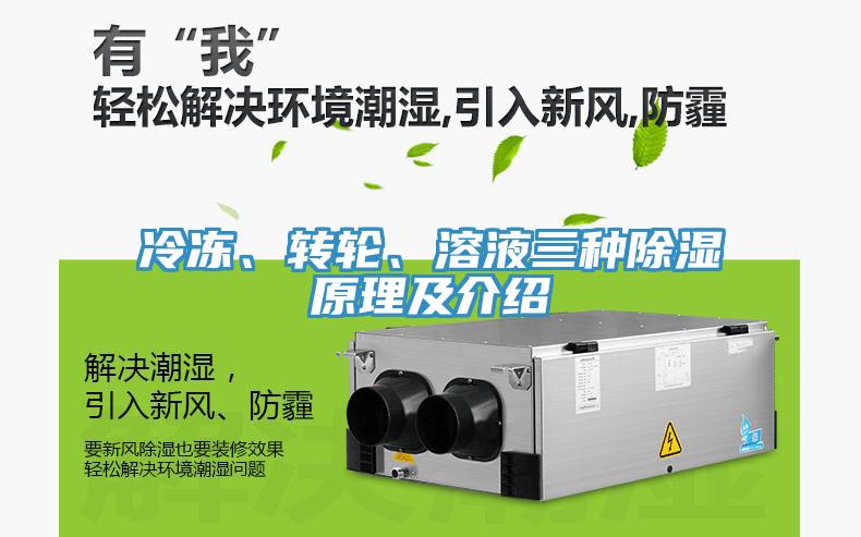 冷凍、轉(zhuǎn)輪、溶液三種除濕原理及介紹