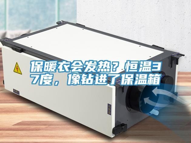 保暖衣會(huì)發(fā)熱？恒溫37度，像鉆進(jìn)了保溫箱