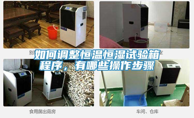 如何調(diào)整恒溫恒濕試驗(yàn)箱程序，有哪些操作步驟