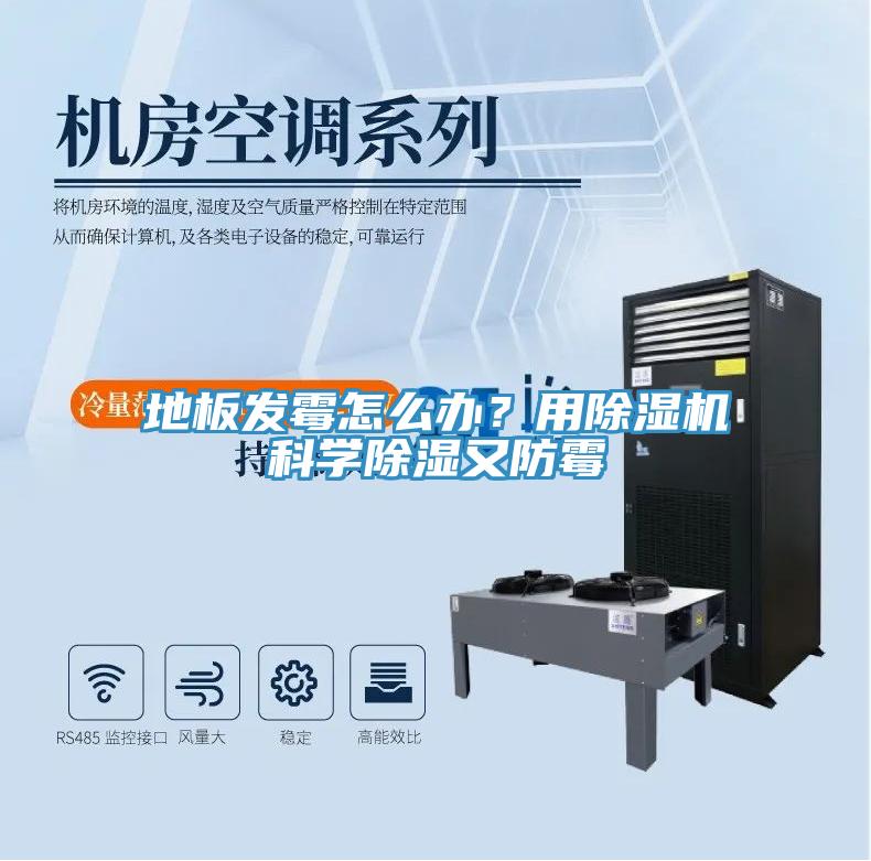 地板發(fā)霉怎么辦？用除濕機科學除濕又防霉