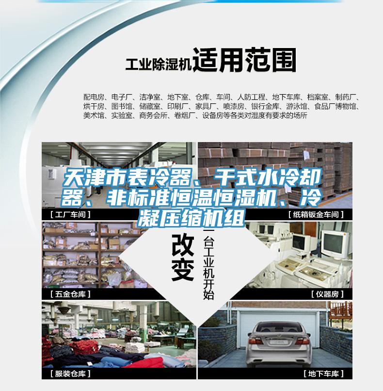 天津市表冷器、干式水冷卻器、非標(biāo)準(zhǔn)恒溫恒濕機、冷凝壓縮機組