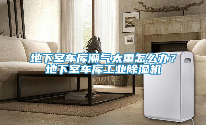 地下室車庫潮氣太重怎么辦？地下室車庫工業(yè)除濕機(jī)