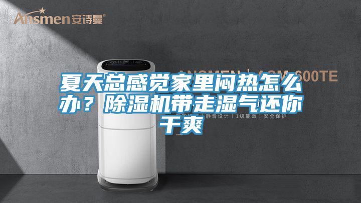 夏天總感覺家里悶熱怎么辦？除濕機帶走濕氣還你干爽
