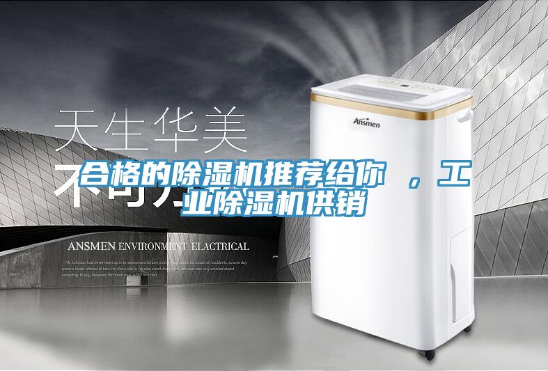 合格的除濕機推薦給你 ，工業(yè)除濕機供銷