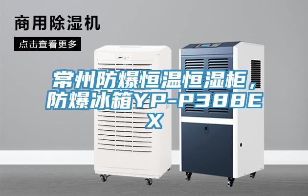 常州防爆恒溫恒濕柜，防爆冰箱YP-P388EX
