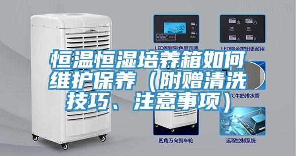 恒溫恒濕培養(yǎng)箱如何維護(hù)保養(yǎng)（附贈(zèng)清洗技巧、注意事項(xiàng)）