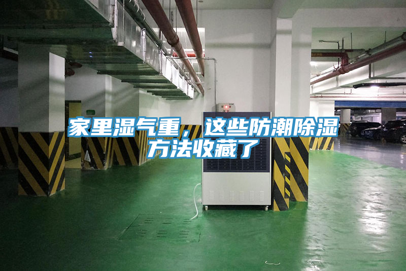 家里濕氣重，這些防潮除濕方法收藏了