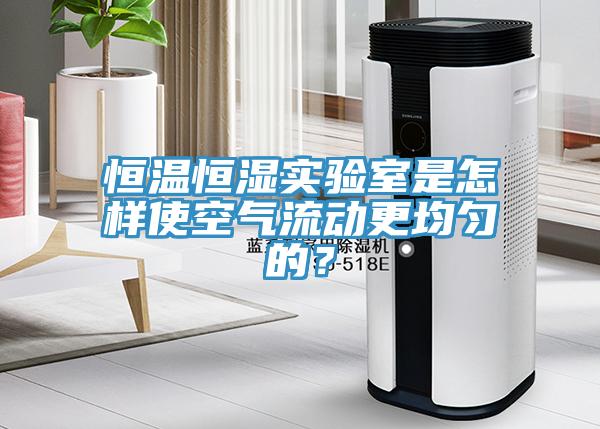 恒溫恒濕實(shí)驗(yàn)室是怎樣使空氣流動(dòng)更均勻的？