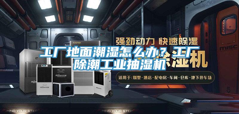 工廠地面潮濕怎么辦？工廠除潮工業(yè)抽濕機(jī)