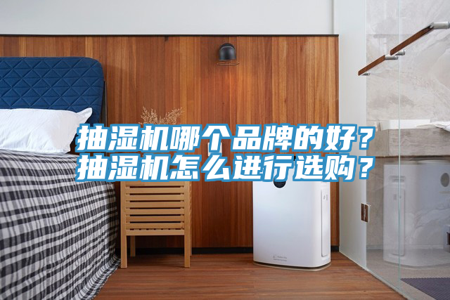 抽濕機(jī)哪個(gè)品牌的好？抽濕機(jī)怎么進(jìn)行選購(gòu)？