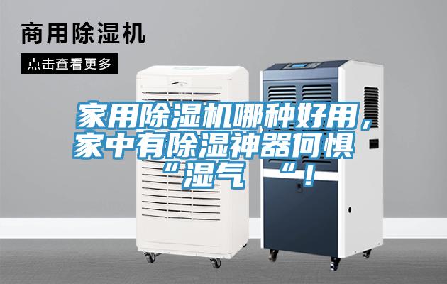 家用除濕機哪種好用，家中有除濕神器何懼 “濕氣 “！