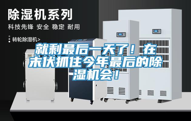 就剩最后一天了！在末伏抓住今年最后的除濕機會！